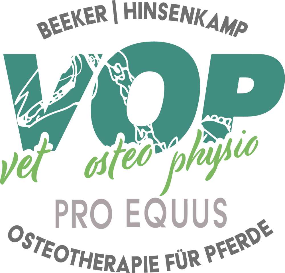 Pro- Equus Pferdeosteotherapie | Beeker | Hinsenkamp